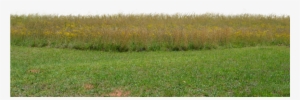 Go To Image - Grass Field Png