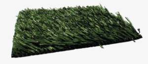 True Grass Pl53 - True Grass