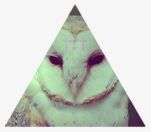 The Gallery For > Tumblr Themes Hipster Cross - Barn Owl Wallpaper Android