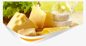 Cheese Bazar - Sagaform Edge Cheese Knife