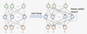 This Project Studies The Effect Of Structure Growth - Diagram