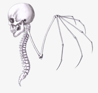 Skullwing 2 Print - Sketch