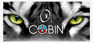 Cobin Tiger Eye Nails