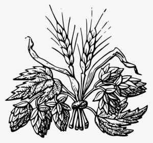 Beer Ingredients Clipart