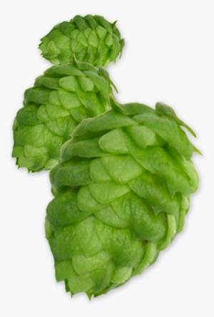 Hop-nugget - Hop Png