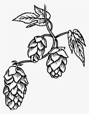 This Free Icons Png Design Of Hops 2