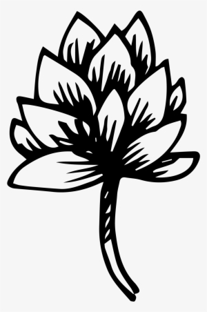 Hops Hoppiness Is Not Something Ready Made