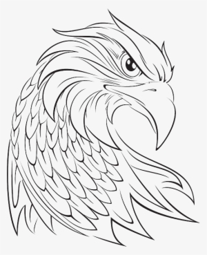 Head, Eagle, Bird, Animal, Beak, Turned, Turn - Court Of Honor Ceremony Invitation - Eagle Scout Card