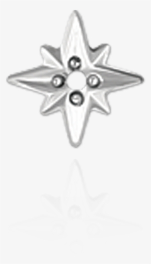 14k Shining Star Trim ( - Body Jewelry