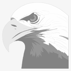 Mb Image/png - Eagle Screens (only) By Baggo