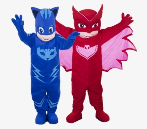 Pjmask Clownsdotcom - Pj Masks Mask Owlette Toddler Boy's