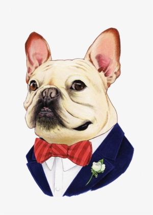 French Bulldog Png
