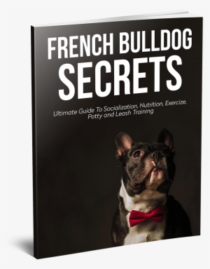 **e-book Available Now** This Guide Was Written By - French Bulldog Secrets