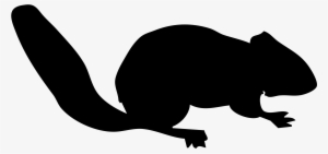 This Free Icons Png Design Of Chipmunk Contour