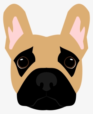 Paw Licking And Chewing In The French Bulldog - Dog