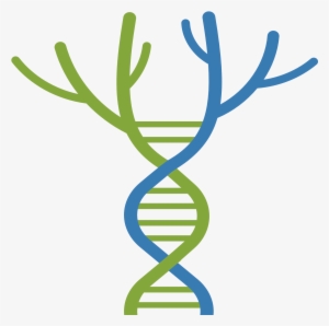 Ctf Tree Of Life