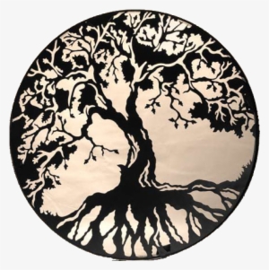 Tree Roots In A Circle