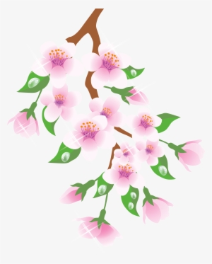 Branch Clipart Spring - Spring Png Clipart