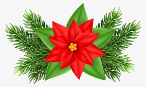 Christmas Clipart Poinsettia - Poinsettia Clipart