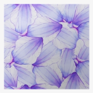 Watercolor Seamless Pattern With Purple Flower Petal - Purple Watercolor Pattern