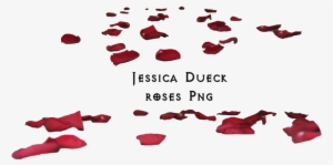 Flower Petals Falling Png - Rose Petals On Floor Png