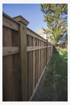 184 Cedar Privacy Fence Wood