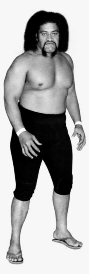 The Wild Samoans - Wwe Afa