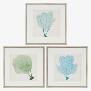 Sea Fan I Pk/3