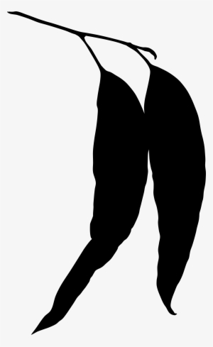 This Free Icons Png Design Of Eucalyptus Leaves Silhouette