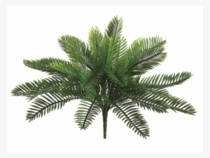 18 Inch Plastic Cycas Palm Bush With 30 Leaves Green - Silk Plants Direct Cycas Palm Plant - Green - Pack