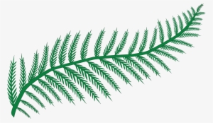 Free Clipart Of A Fern - Fern Clipart