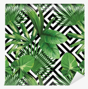 Palm Leaves Png Free Hd Palm Leaves Transparent Image Pngkit