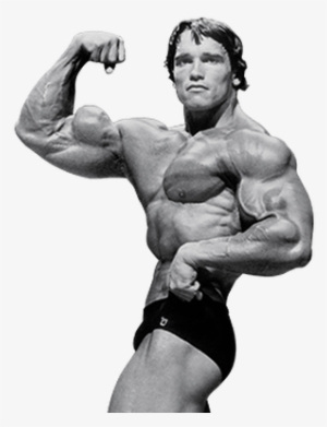Arnold Schwarzenegger Png File - Arnold Png