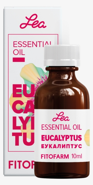 Eucalyptus Essential Oil Eucalyptus Globulus