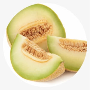 Honey Dew - Lucky Boba Honeydew Powder 2 Lbs