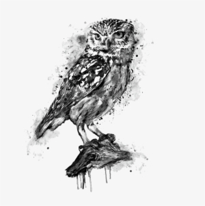 Bleed Area May Not Be Visible - Black And White Owl Painting