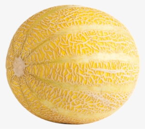 Lemon Drop Melon - Lemondrop Melon