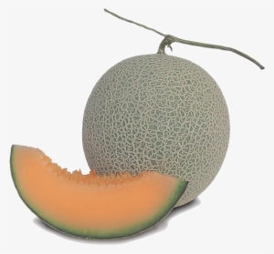 Golden Yellow Honey Dew Variety With Strong Plant Habit - Honeydew