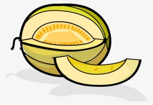 Vector Illustration Of Muskmelon Cultivar Honeydew - Law