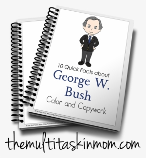 Bush - Income Tax School Certificate