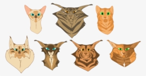 After I Redid My Tawnypelt Design I Really Decided - Cat