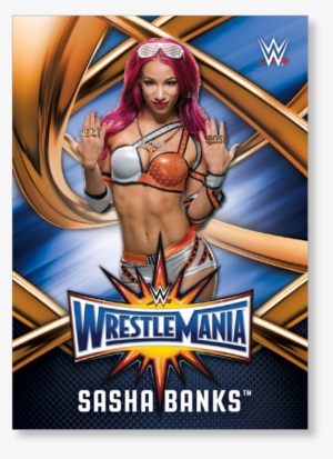 Sasha Banks - Official Wwe The Shows Hard Back Case