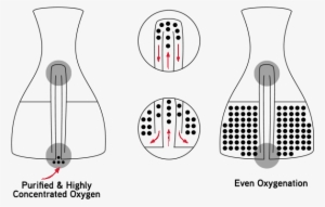 Purified And Highly Concentrated Oxygen Flows Upwards - Illustration