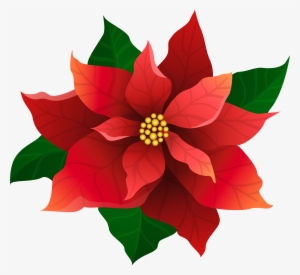 15 Poinsettia Clipart For Free Download On Mbtskoudsalg