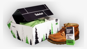 Shoebox 01