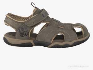 Timberland Taupe Timberland Sandals Oak Bluffs Leather