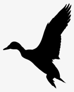 Duck Hunting - Duck Decal