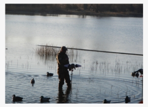 Duck Hunting - Waterfowl Hunting