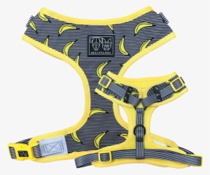 Big & Little Dogs Adjustable Pet Harness - Dog