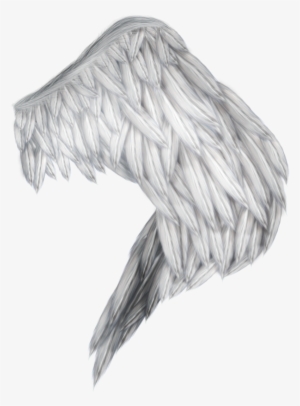 Ali Di Angelo Png - Ali Png